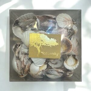 Natural decoration- Naturally Decorative Seashell Collection